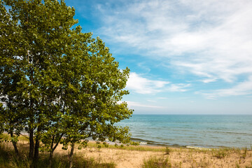 A small grove of cottonwood trees provides slight shade along the beach at Kohler-Andrae State Park, Sheboygan, Wisconsin