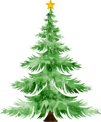 Watercolor Christmas Tree Illustration
