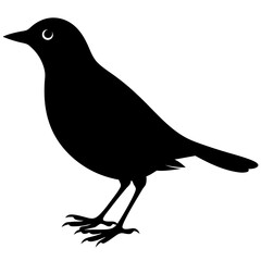 Blackbird Silhouette Vector Art | Blackbird Design on White Background