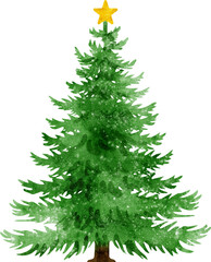 Watercolor Christmas Tree Illustration