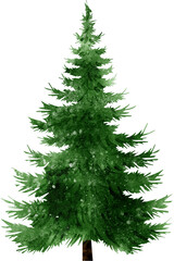 Watercolor Christmas Tree Illustration