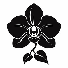 Orchid Black silhouette