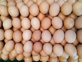Stack chicken eggs ready to be sold