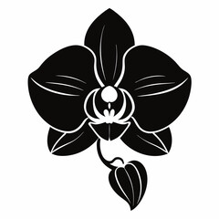 Orchid Black silhouette