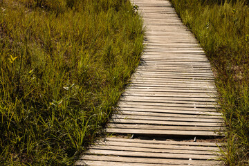 Cordwalk provides a protective walkway over the sand dunes at Kohler-Andrae State Park, Sheboygan, Wisconsin