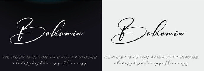 signature Font Calligraphy Logotype Script Brush Font Type Font lettering handwritten