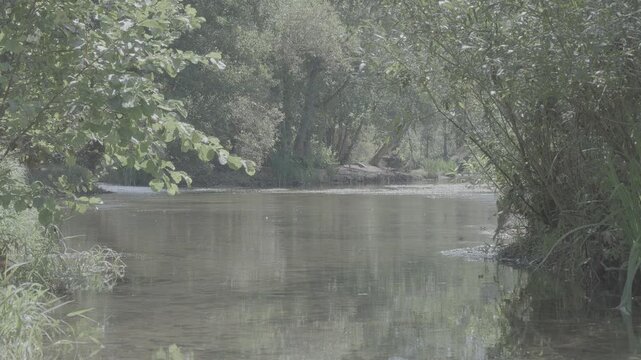 Rivi&egrave;re en log