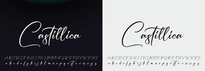 signature Font Calligraphy Logotype Script Brush Font Type Font lettering handwritten