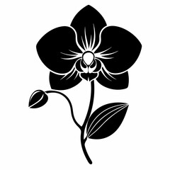 Orchid Black silhouette