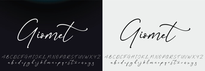 signature Font Calligraphy Logotype Script Brush Font Type Font lettering handwritten