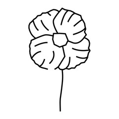poppy flower spring line icon vector. poppy flower spring sign. isolated contour symbol black illustration