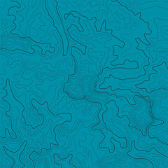 Stylized topographic map outline height in lines and contours. The concept of a conditional geographical scheme and the trajectory of the terrain. Ultra wide size. Vector illustration.