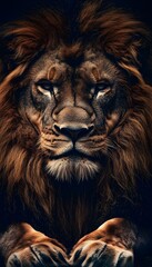 Fototapeta premium Lion