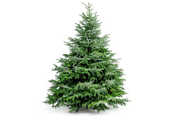Lush green Christmas tree isolated on white, ready for decoration and celebration of the festive season