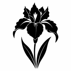 Iris Black silhouette