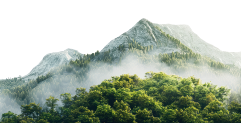 PNG Serene misty mountain landscape
