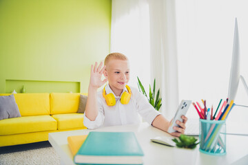Portrait of charming adorable intelligent boy study from home modern technology indoors room apartment
