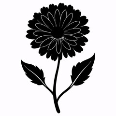 Calendula Black silhouette