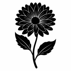 Calendula Black silhouette