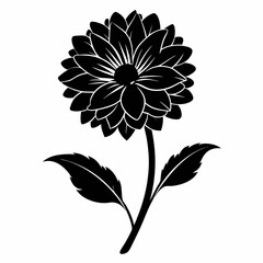 Calendula Black silhouette