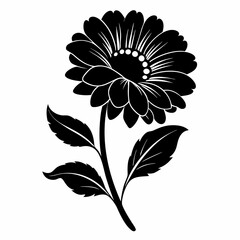 Calendula Black silhouette