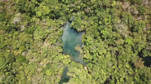 Topdown Aerial view of clear water ponds (cenotes) in the middle of pristine jungle in the sourrondings of Tulum, RIviera Maya, Mexico
