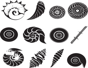 Shell   Abstract Silhouette Vector Graphics Pack