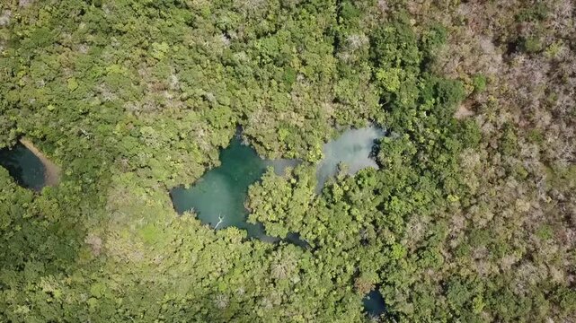Aerial view of clear ponds (cenotes) in the middle of pristine jungle near Tulum, RIviera Maya, Mexican Caribbean