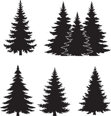 pine tree vector silhouette illustration