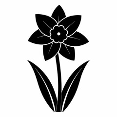 Daffodil Black silhouette