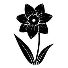 Daffodil Black silhouette