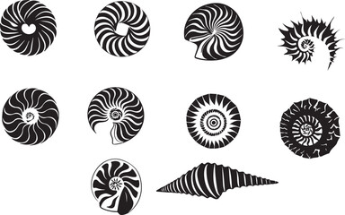 Snail Shell Minimalist Black Silhouette Vector Collection
