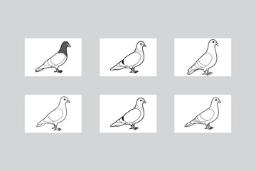 Elegant 6 Rock Pigeon Vector Line Art Illustrations.