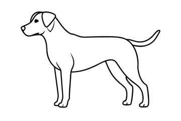 Black and White Dog Illustration Vector, Cartoon, Clipart, Line Art, Elegant black and white dog illustration in vector, cartoon, clipart, and line art styles.
