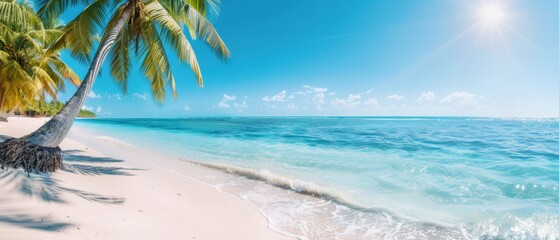  A crystal-clear day unveils a tropical beach, where a solitary palm tree graces the shoreline Sunlight gleams majestically over the tranquil ocean