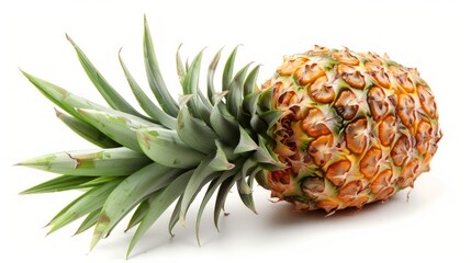 A whole pineapple with its textured skin and spiky crown, isolated on a white background