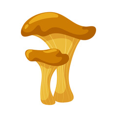 Chanterelles. Magical wild mushroom. Autumn forest raw ingredient. Cartoon flat illustration.