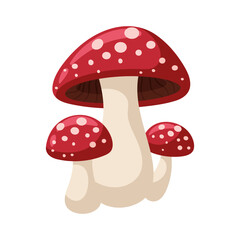 Amanita. Magical wild mushroom. Autumn forest raw ingredient. Cartoon flat illustration.