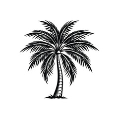 Fototapeta premium Palm tree vector icon isolated on white background