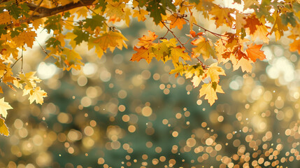 A tree with golden and orange leaves over bokeh autumn background