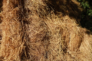 Close-up of a tied hay bale. Perfect for agricultural themes or design backgrounds.