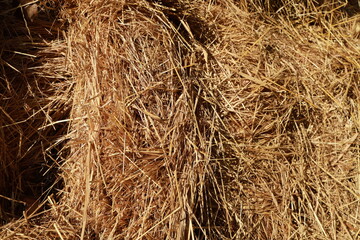 Close-up of a tied hay bale. Perfect for agricultural themes or design backgrounds.