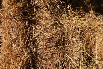 Close-up of a tied hay bale. Perfect for agricultural themes or design backgrounds.