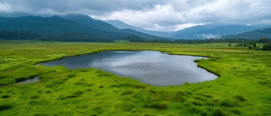 Fototapeta premium A tranquil lake nestled amidst a lush, green meadow, framed by a distant mountain range