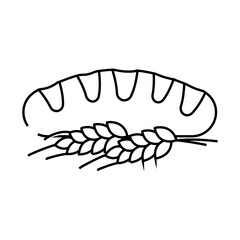 bread wheat ears line icon vector. bread wheat ears sign. isolated contour symbol black illustration