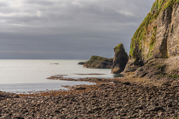 The cliffs and North Sea coast in Crawton, Scotland, UK