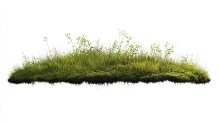 A computer-generated 3D illustration of a section of lush green grass with a few small plants,...