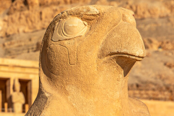 As the symbol of royal power, Horus stands guard at the entrance of Hatshepsut's mortuary temple....