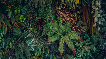 Close up group of background tropical green leaves texture and abstract background. Tropical leaf nature concept.