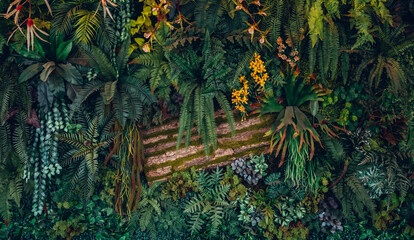 Close up group of background tropical green leaves texture and abstract background. Tropical leaf nature concept.